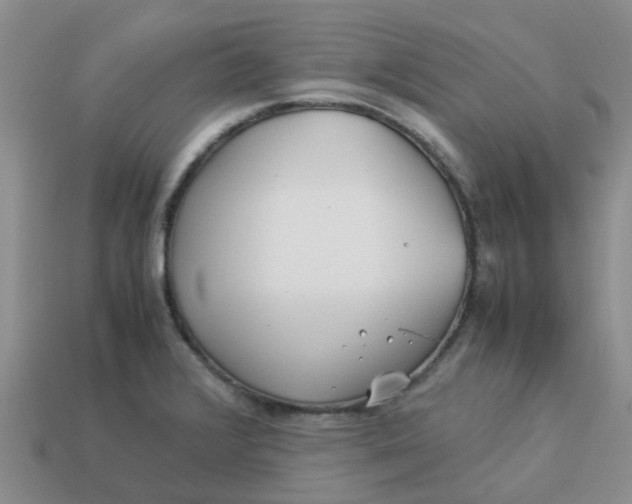 X0000113991376200910161636