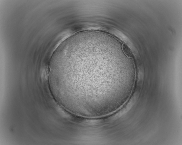 X0000113991377200910161636