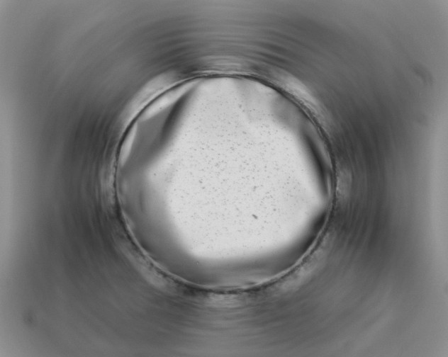 X0000113991378200910161636