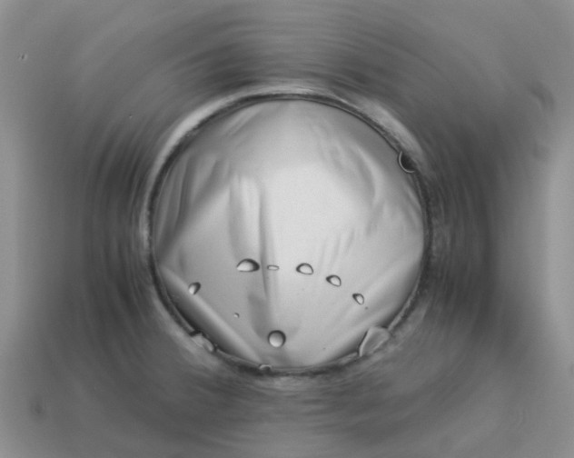 X0000113991380200910161636