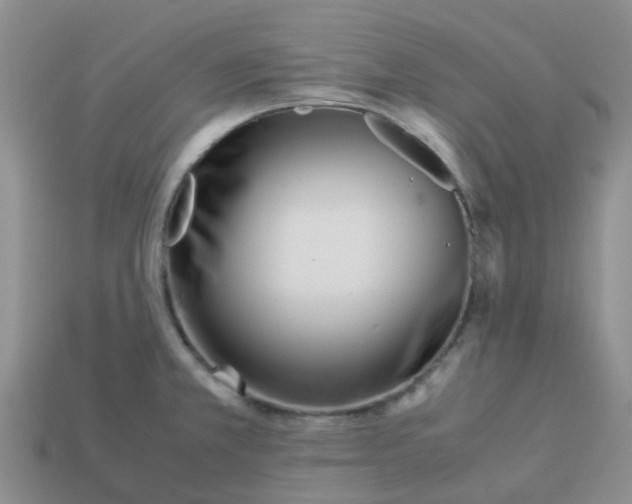 X0000113991381200910161636