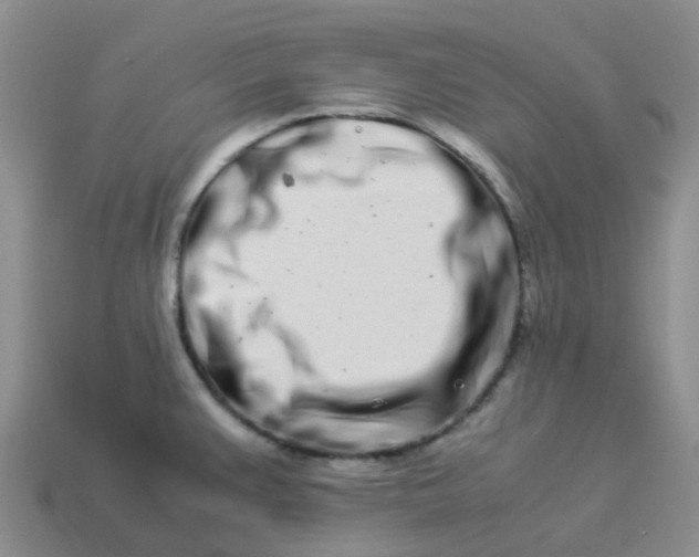 X0000113991383200910161636