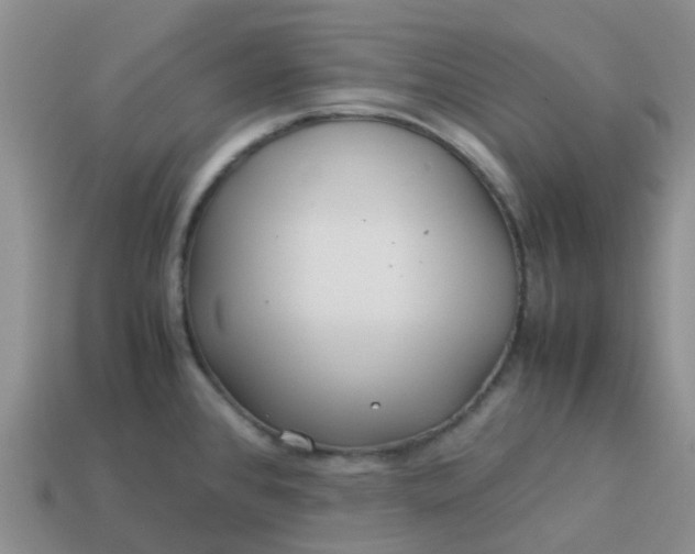 X0000113991384200910161636