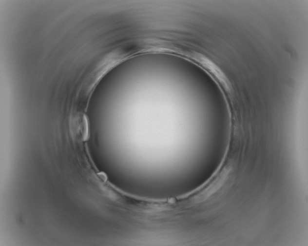 X0000113991385200910161636