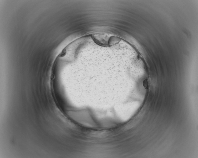 X0000113991386200910161636