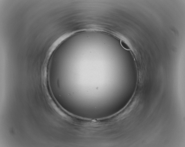 X0000113991387200910161636