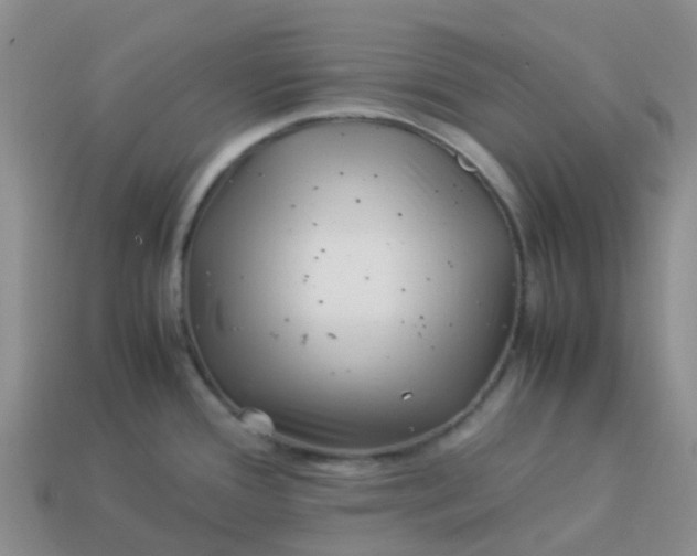 X0000113991388200910161636