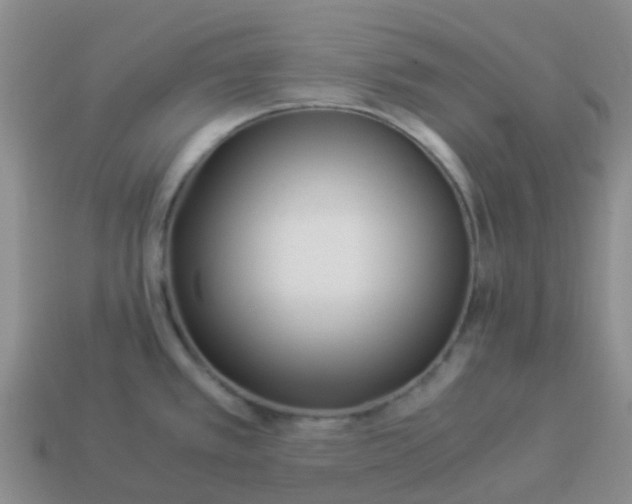 X0000113991389200910161636