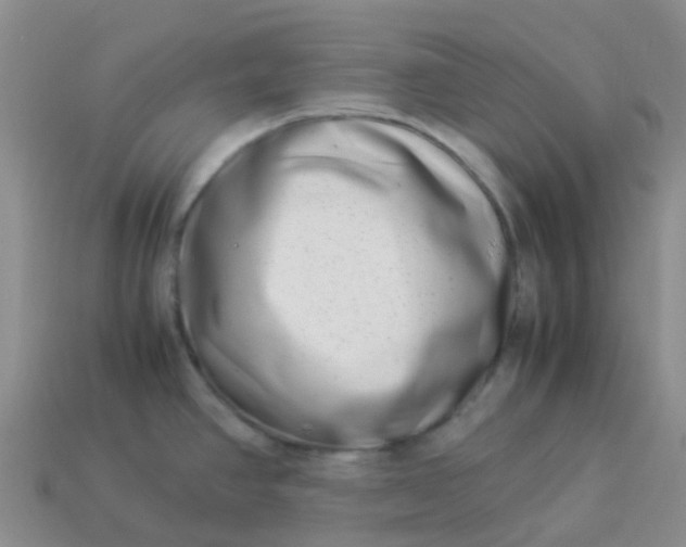 X0000113991390200910161636