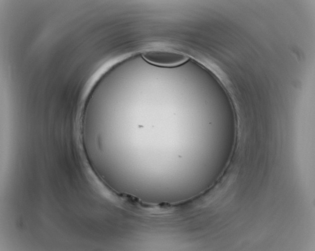 X0000113991392200910161636