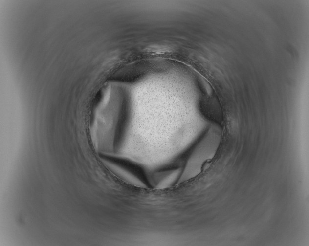 X0000113991393200910161635