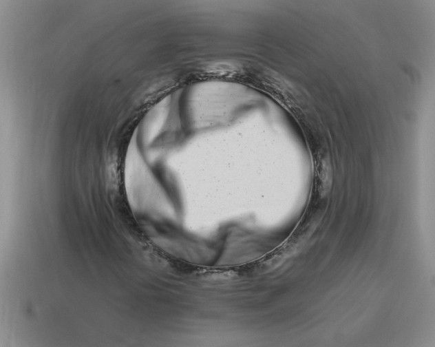 X0000113991394200910161636