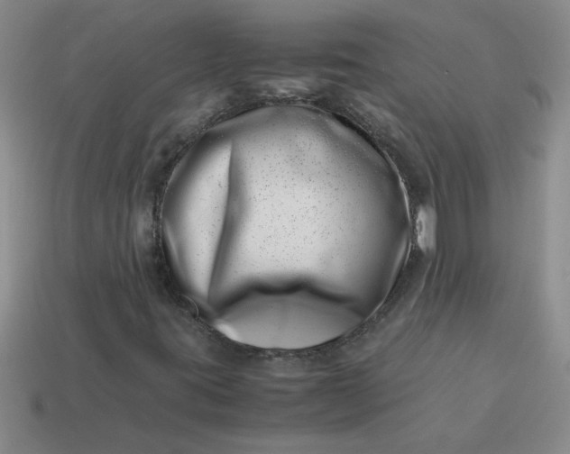 X0000113991395200910161636