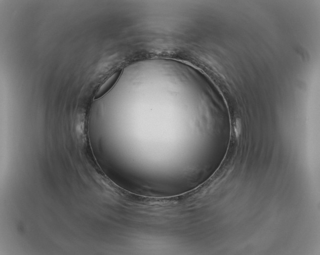 X0000113991396200910161636