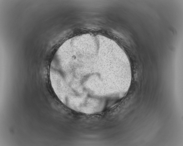 X0000113991397200910161636