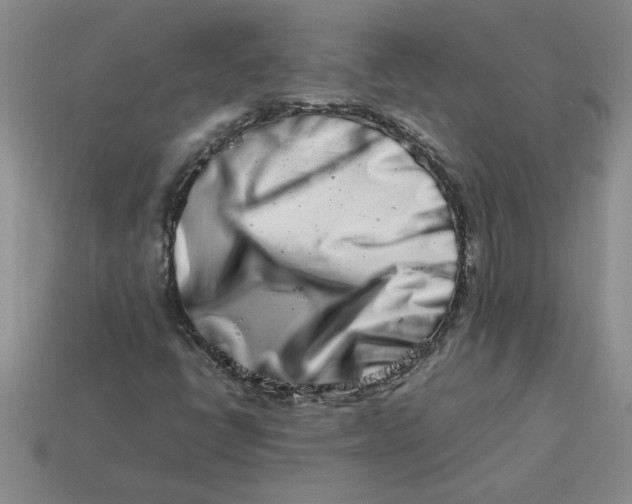 X0000113991398200910161636