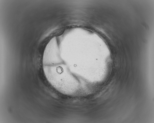 X0000113991399200910161636