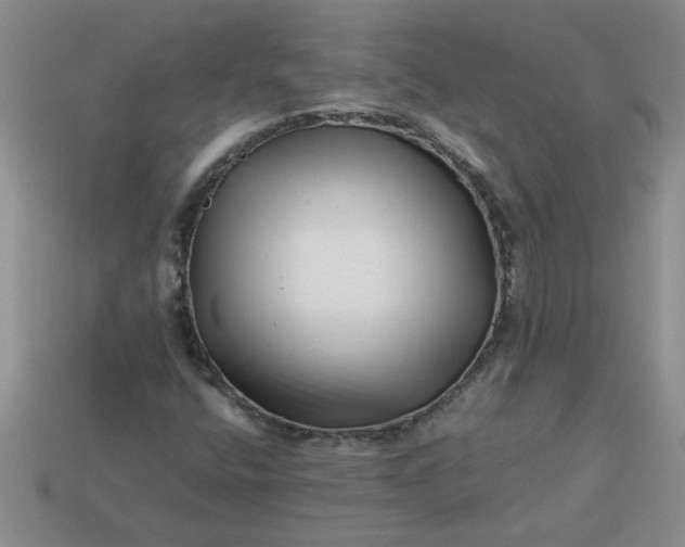 X0000113991400200910161636