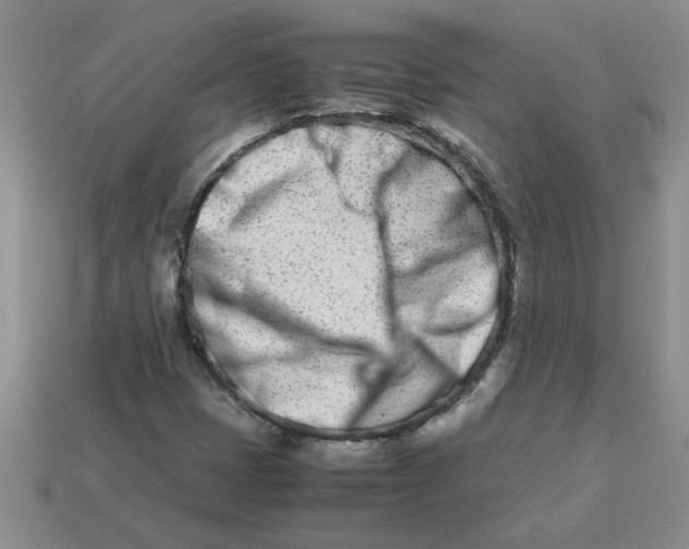 X0000113991401200910161636