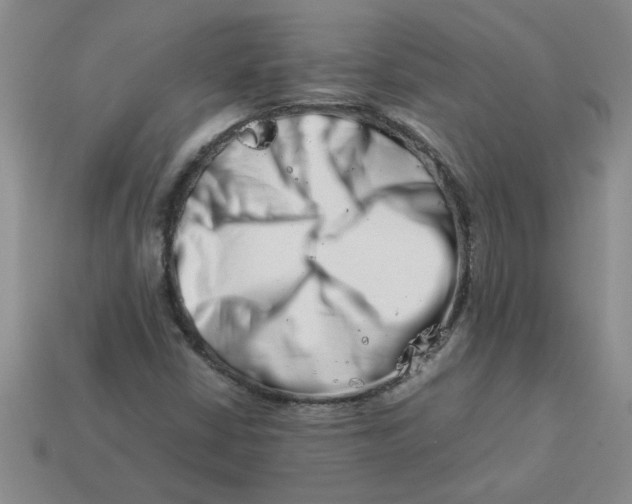 X0000113991402200910161636