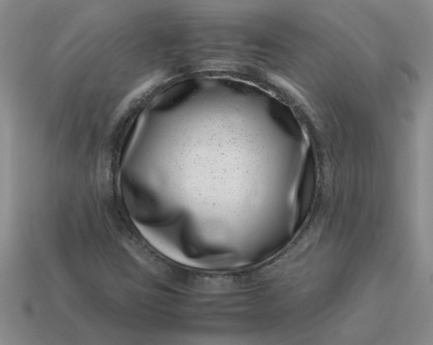 X0000113991403200910161636