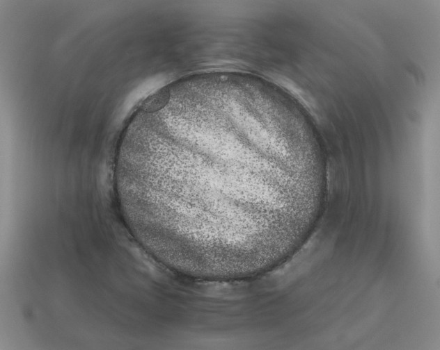 X0000113991405200910161636