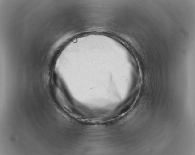 X0000113991406200910161636