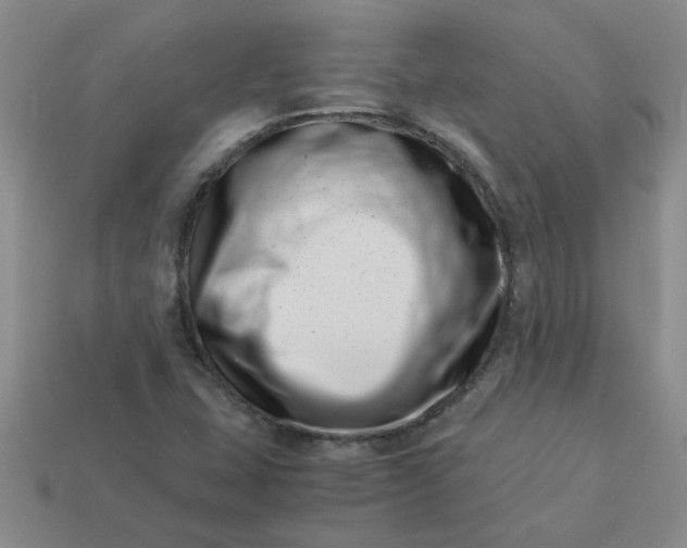 X0000113991407200910161636