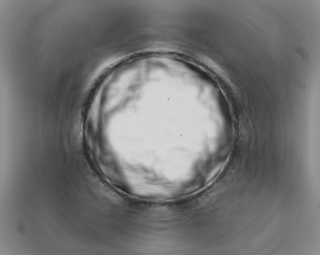 X0000113991408200910161636