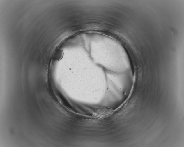 X0000113991409200910161636