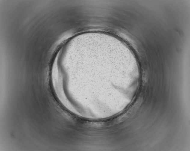 X0000113991411200910161636