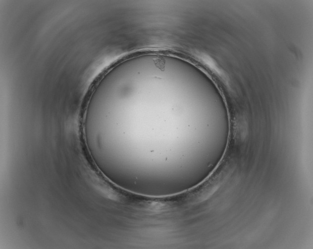 X0000113991412200910161636