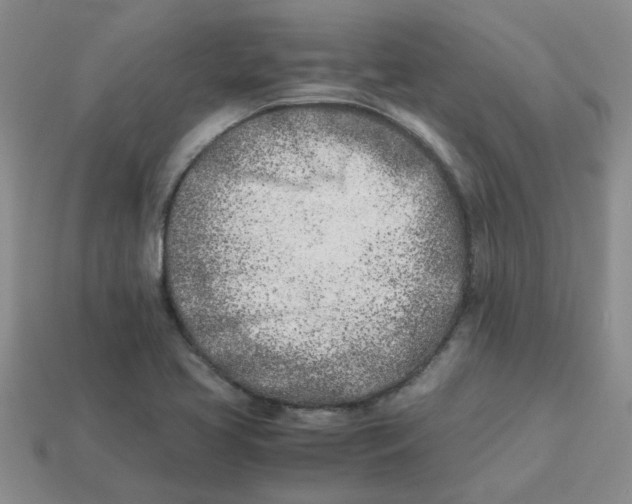 X0000113991413200910161636