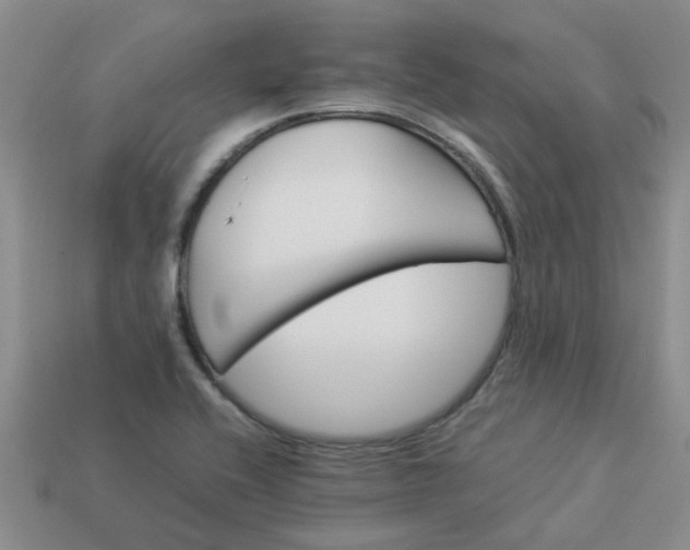 X0000113991416200910161636