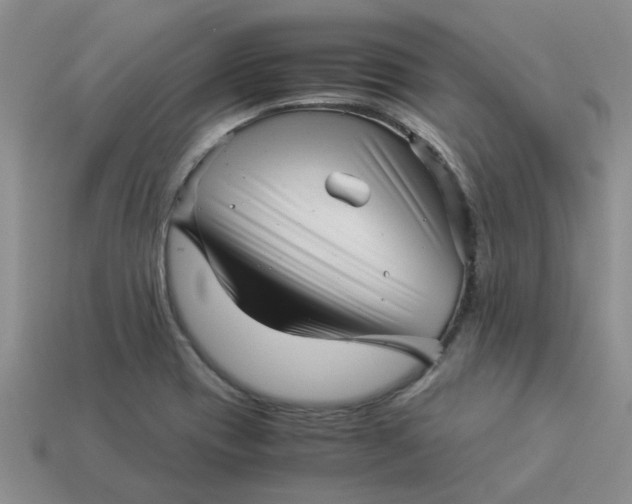 X0000113991417200910161636