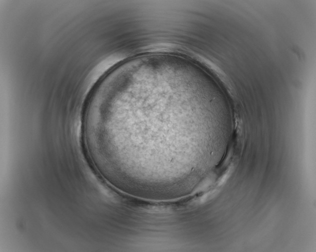 X0000113991418200910161636