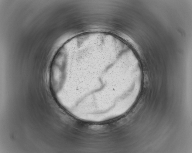 X0000113991419200910161636