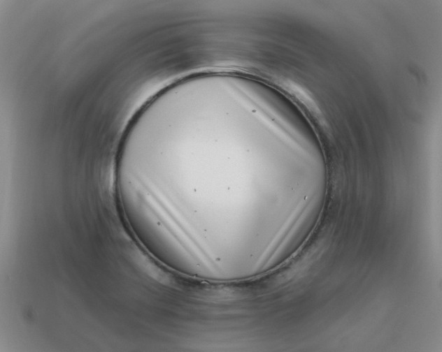 X0000113991420200910161636