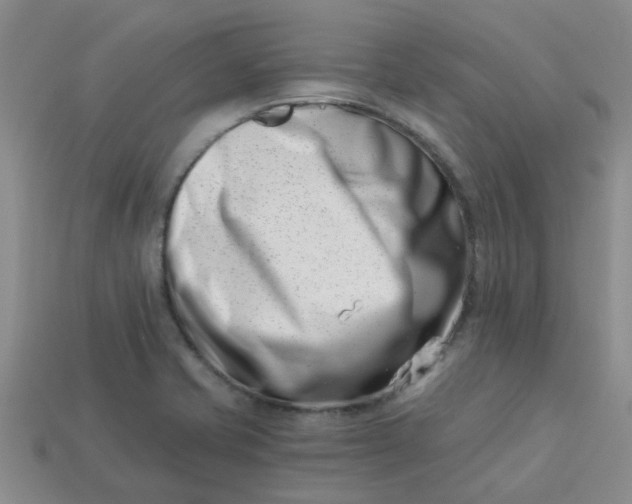 X0000113991421200910161636