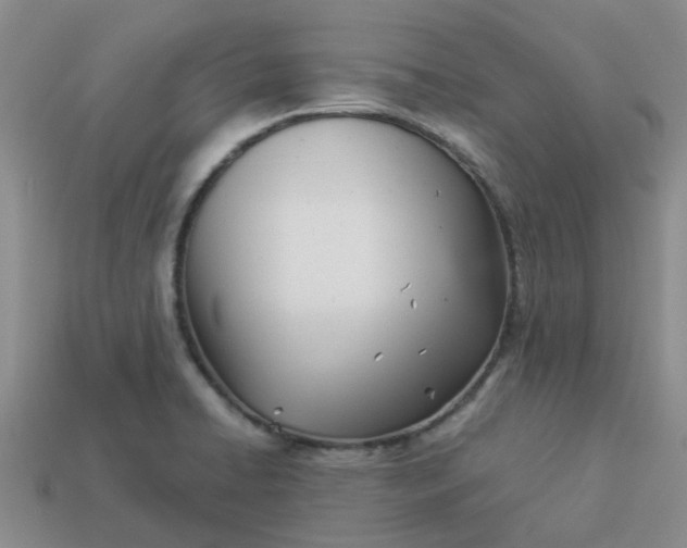 X0000113991422200910161636