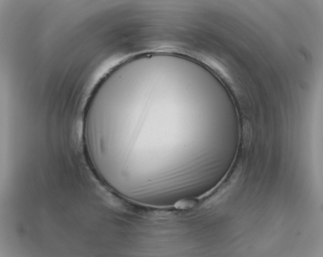 X0000113991424200910161636