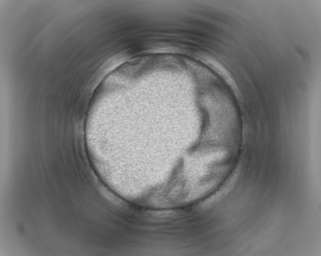 X0000113991425200910161636