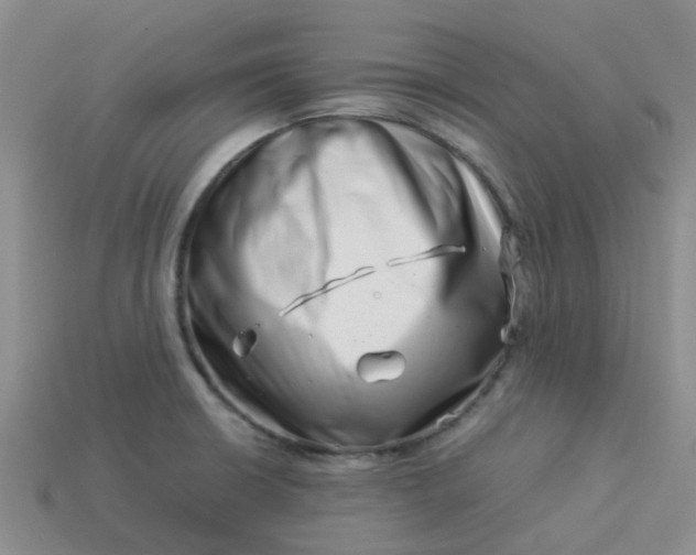 X0000113991426200910161636