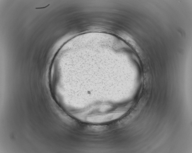 X0000113991427200910161636