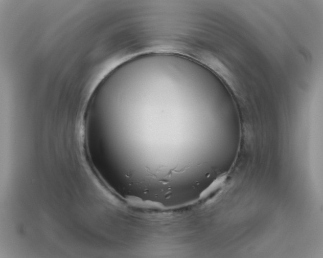 X0000113991428200910161636