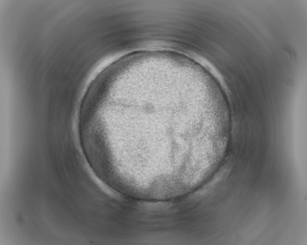 X0000113991429200910161636