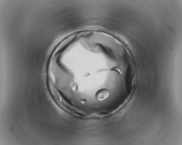 X0000113991430200910161636