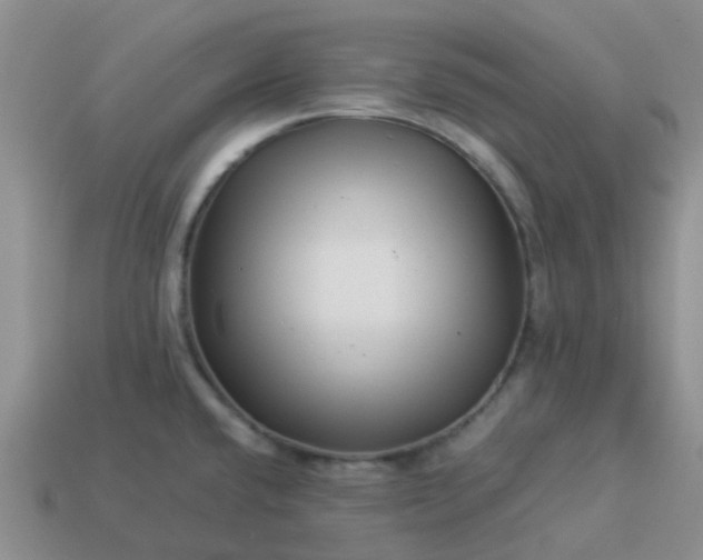 X0000113991432200910161636