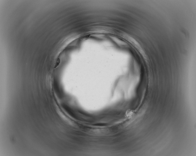 X0000113991433200910161636