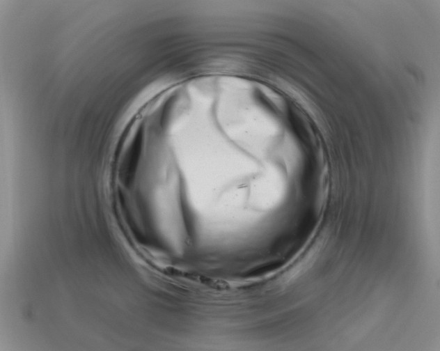 X0000113991434200910161636